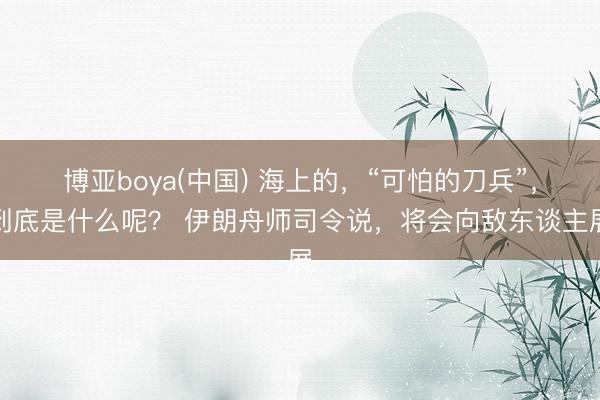 博亚boya(中国) 海上的，“可怕的刀兵”，到底是什么呢？ 伊朗舟师司令说，将会向敌东谈主展