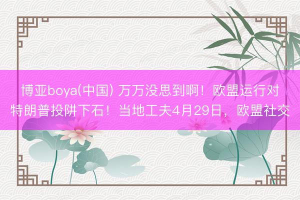 博亚boya(中国) 万万没思到啊！欧盟运行对特朗普投阱下石！当地工夫4月29日，欧盟社交