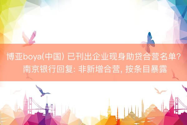 博亚boya(中国) 已刊出企业现身助贷合营名单? 南京银行回复: 非新增合营， 按条目暴露
