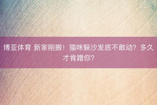 博亚体育 新家刚搬！猫咪躲沙发底不敢动？多久才肯蹭你？