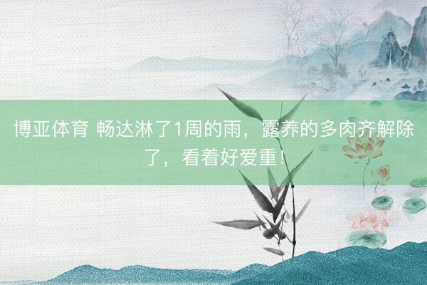 博亚体育 畅达淋了1周的雨,露养的多肉齐解除了,看着好爱重!