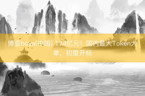 博亚boya(中国) 174亿元！国内最大Token大单，初度开标