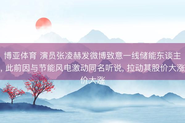 博亚体育 演员张凌赫发微博致意一线储能东谈主， 此前因与节能风电激动同名听说， 拉动其股价大涨