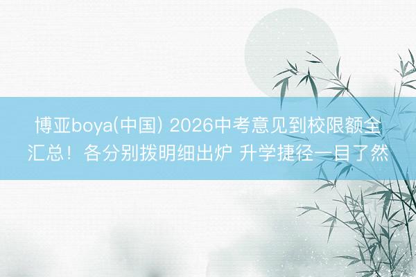 博亚boya(中国) 2026中考意见到校限额全汇总！各分别拨明细出炉 升学捷径一目了然