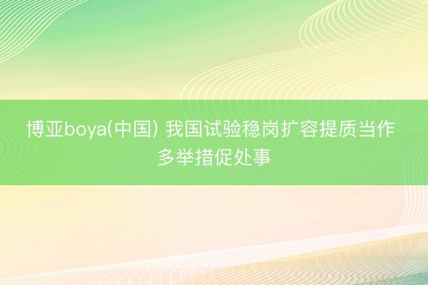 博亚boya(中国) 我国试验稳岗扩容提质当作 多举措促处事