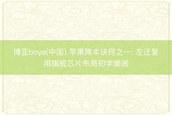博亚boya(中国) 苹果降本诀窍之一: 左迁复用旗舰芯片布局初学阛阓