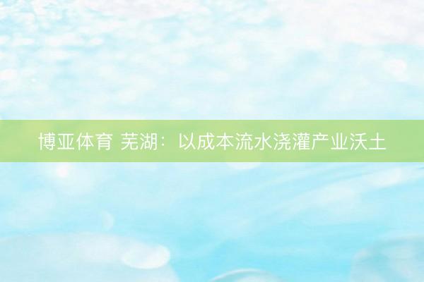 博亚体育 芜湖：以成本流水浇灌产业沃土