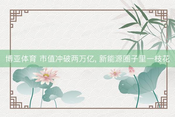 博亚体育 市值冲破两万亿， 新能源圈子里一枝花