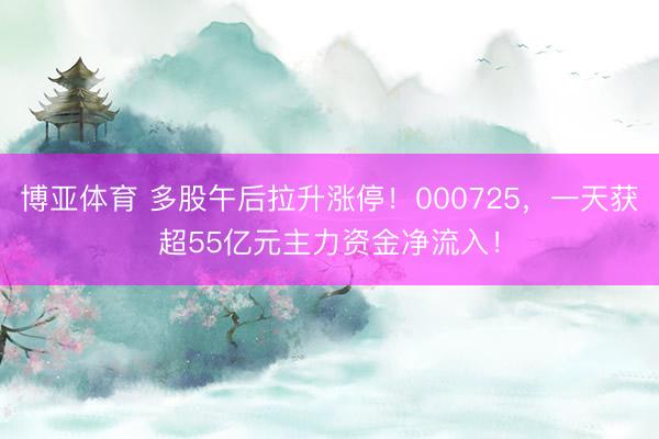 博亚体育 多股午后拉升涨停！000725，一天获超55亿元主力资金净流入！