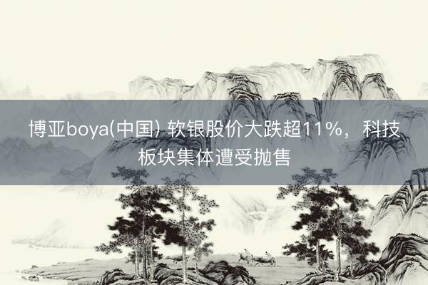 博亚boya(中国) 软银股价大跌超11%，科技板块集体遭受抛售
