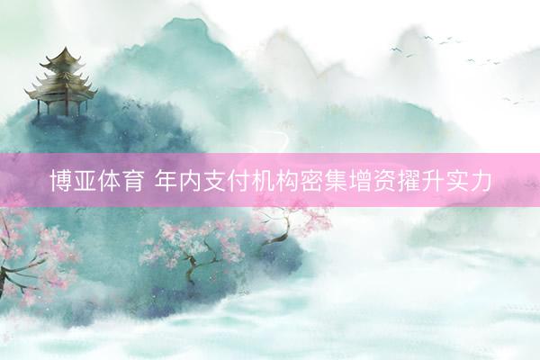 博亚体育 年内支付机构密集增资擢升实力
