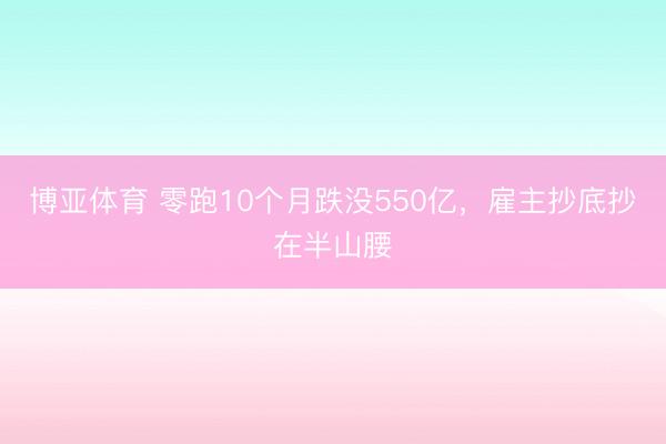 博亚体育 零跑10个月跌没550亿，雇主抄底抄在半山腰