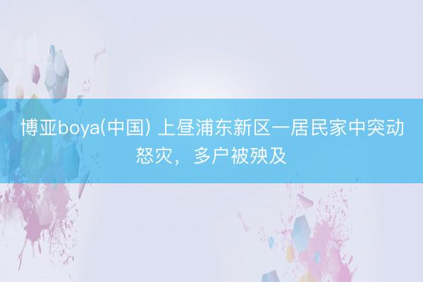 博亚boya(中国) 上昼浦东新区一居民家中突动怒灾,多户被殃及