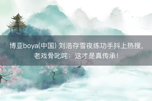 博亚boya(中国) 刘浩存雪夜练功手抖上热搜,老戏骨叱咤:这才是真传承!