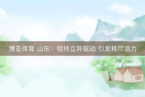 博亚体育 山东：相持立异驱动 引发耗尽活力