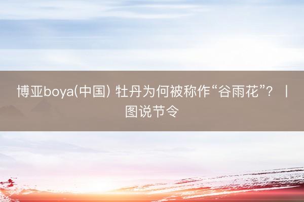 博亚boya(中国) 牡丹为何被称作“谷雨花”？丨图说节令
